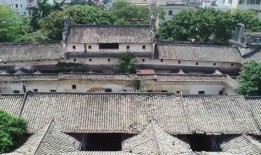 深圳龙山庄最新爆料新闻,神秘项目引发热议，揭秘背后的惊人真相